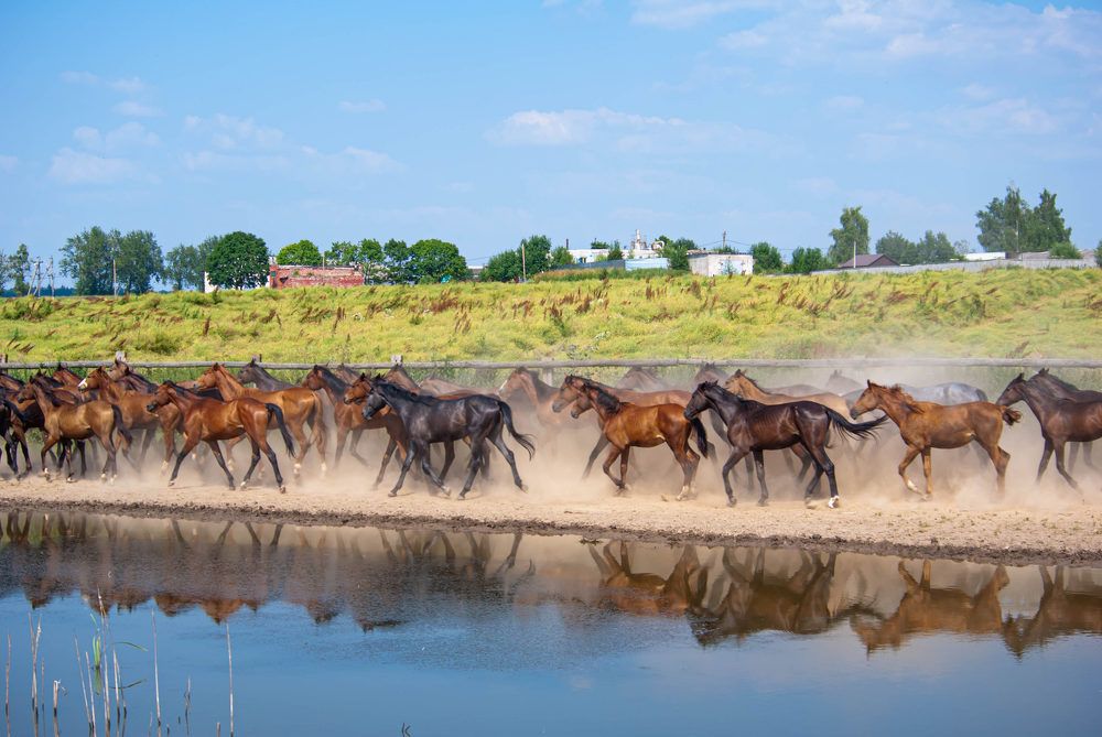 Photograph by Диана Бородзе