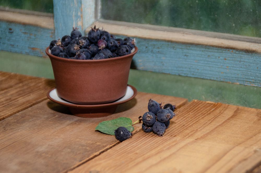 Photograph by Денис Кичев