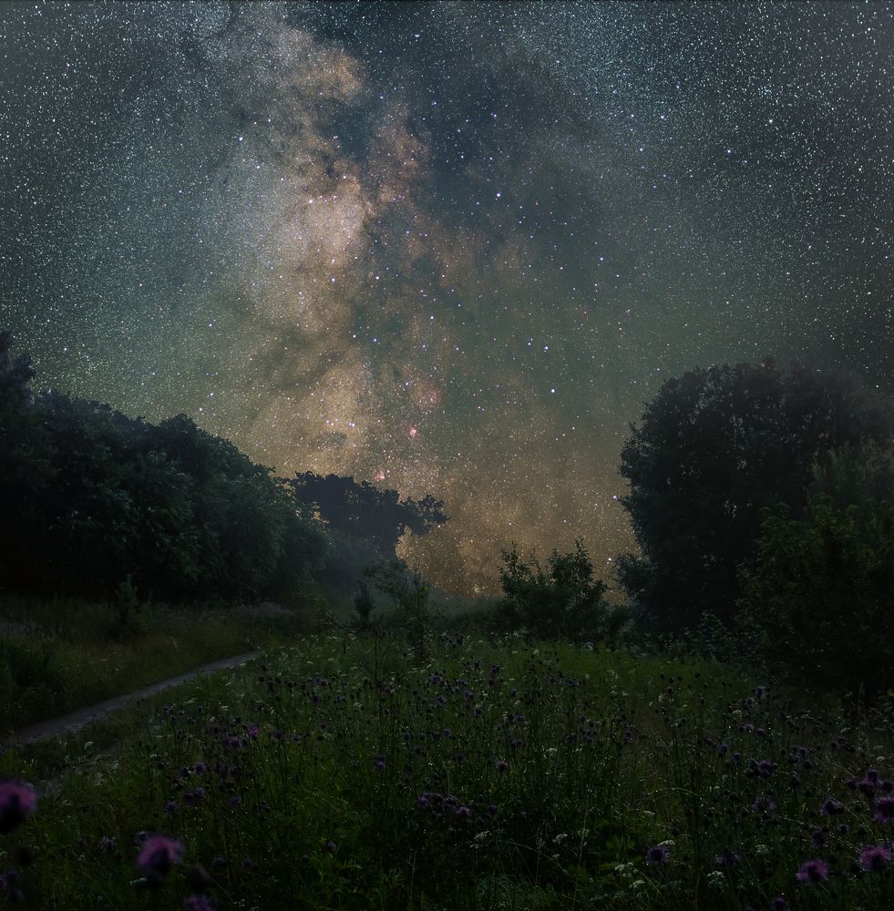 Photograph by Александр Рындин