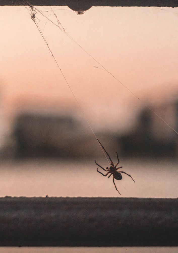 Photograph by Ольга Андрианова