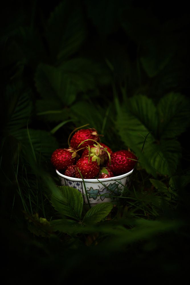 Фотография автора Aлена Хлопова