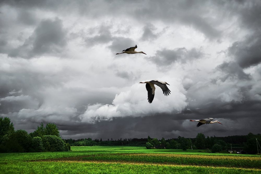 Photograph by Andrei Nikitin