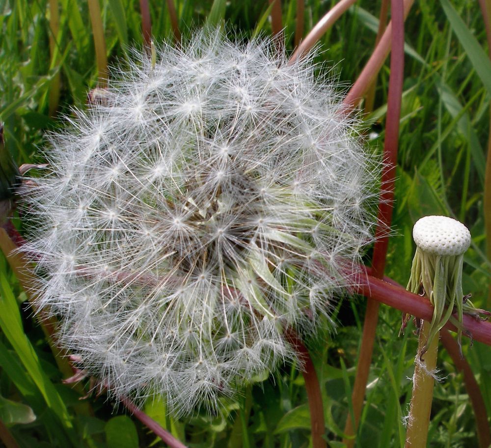 Photograph by Viktors Giršsons