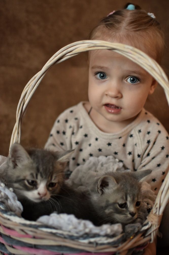 Photograph by Бесштанькина Мария