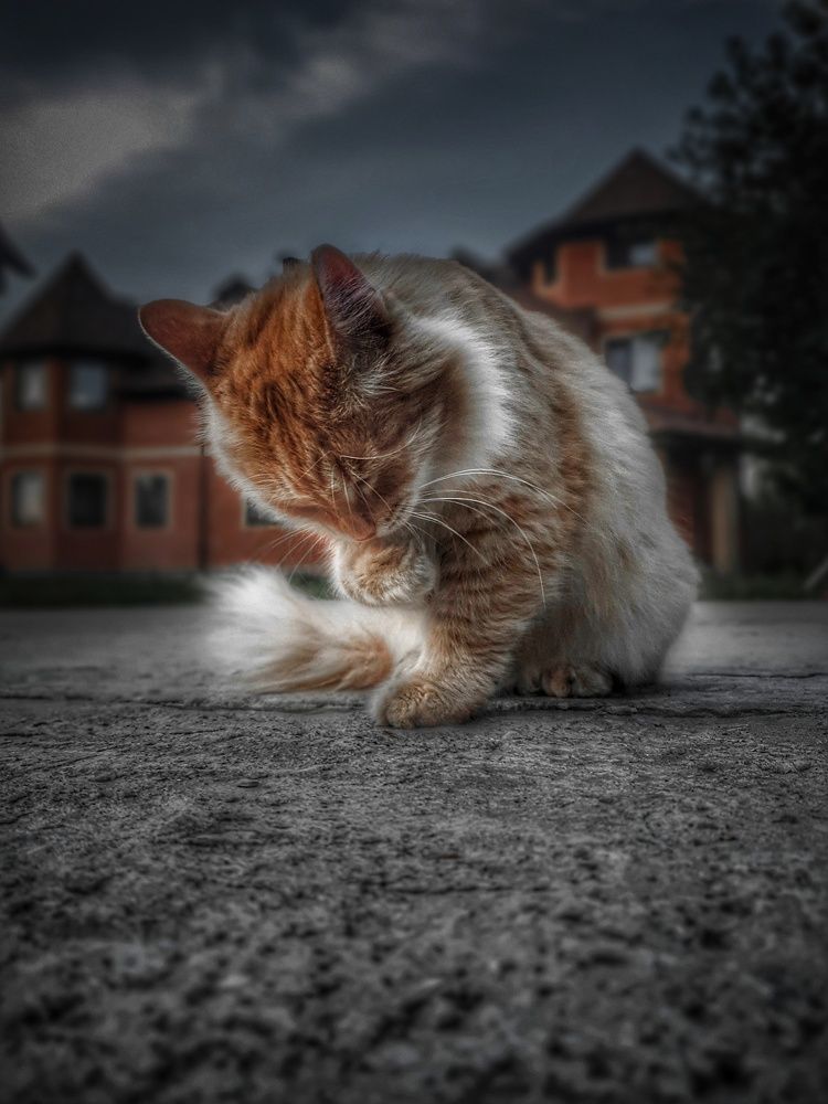 Photograph by Максим