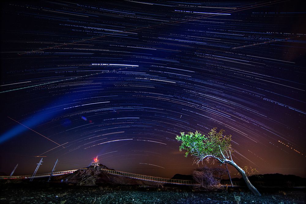 Tree Folling Star Trails