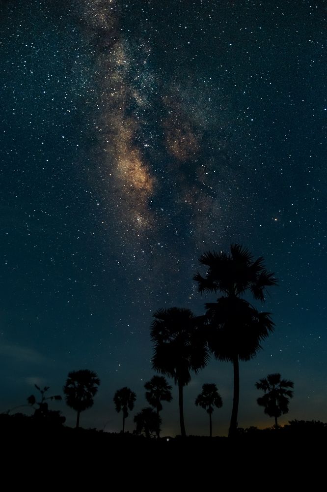 Photograph by Pratap Patra