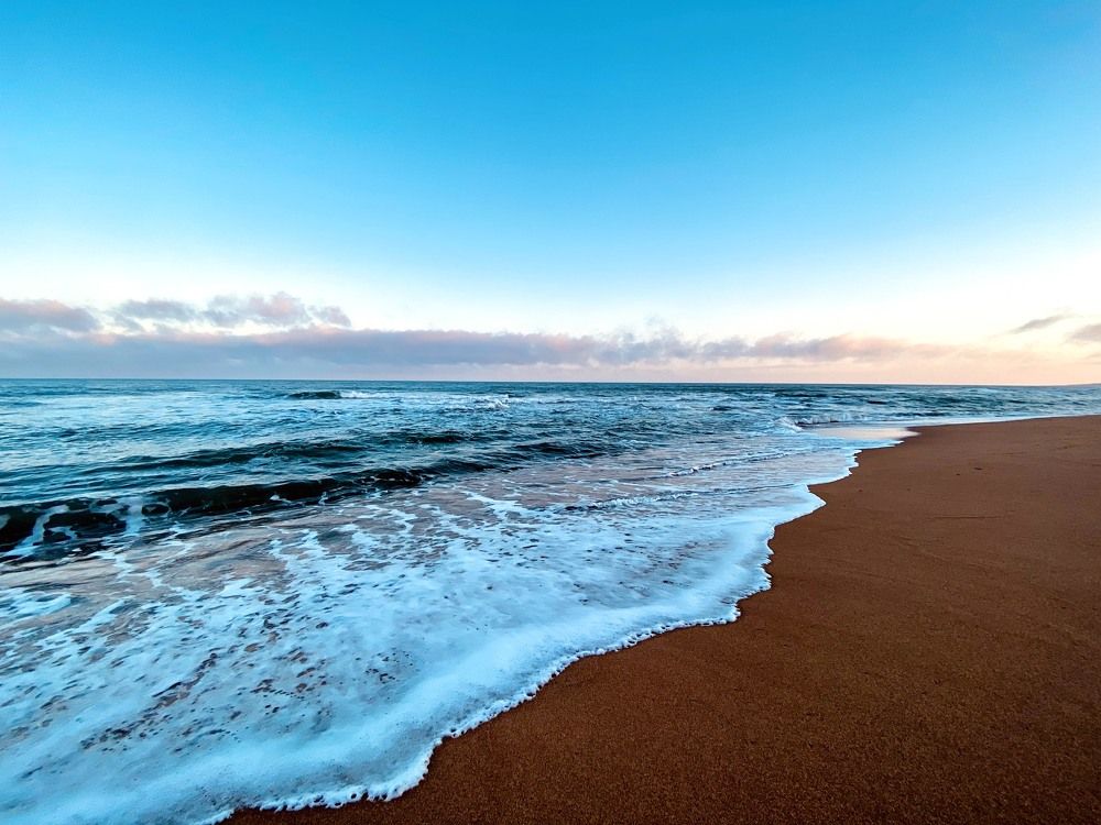 Photograph by Leonor