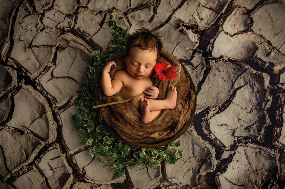 Фотография автора Anita Maggiani