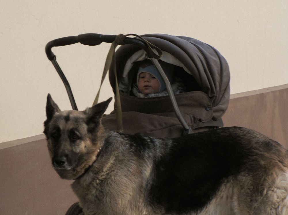 Photograph by Курнявцева Алина