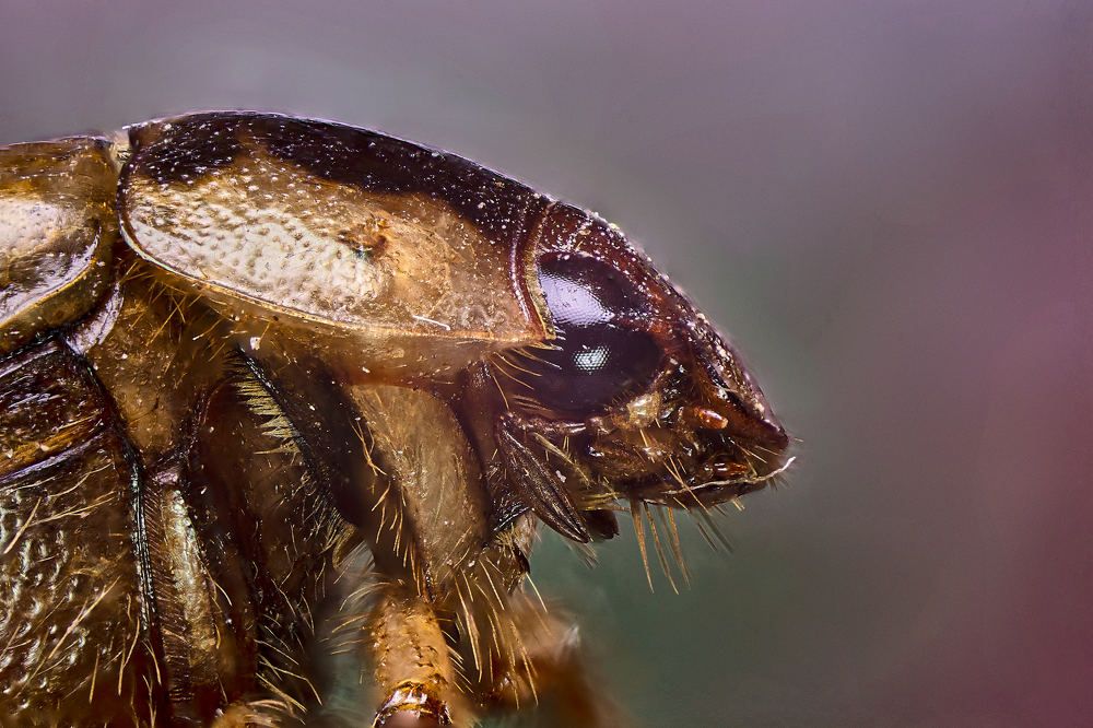 Photograph by Ivan Cortes