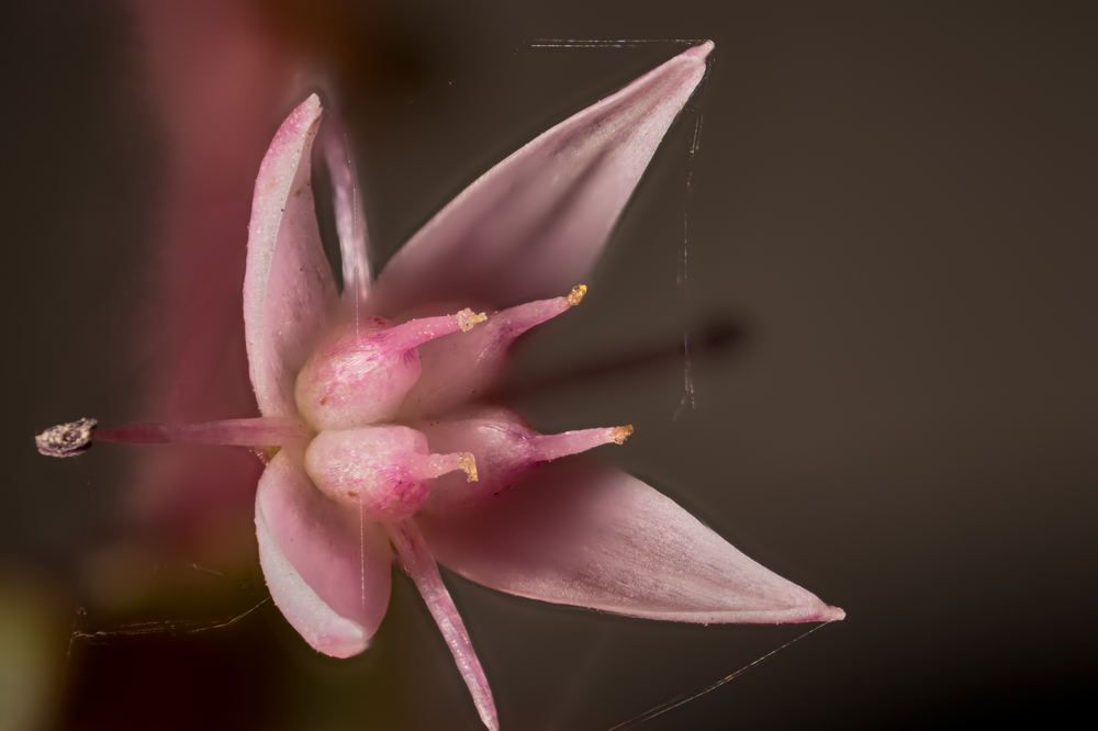 Photograph by Ivan Cortes