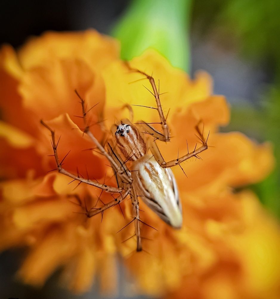 Photograph by TIMIR CHOUDHURY