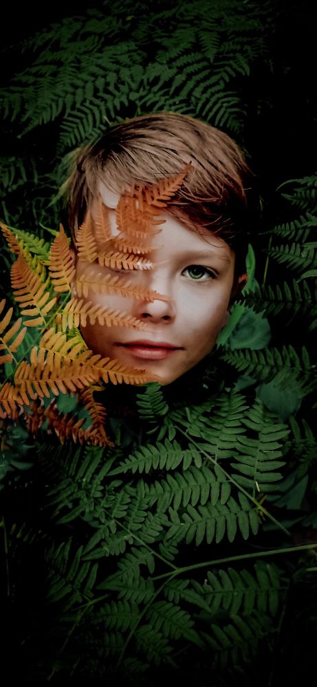 Photograph by Алиса Ломакина