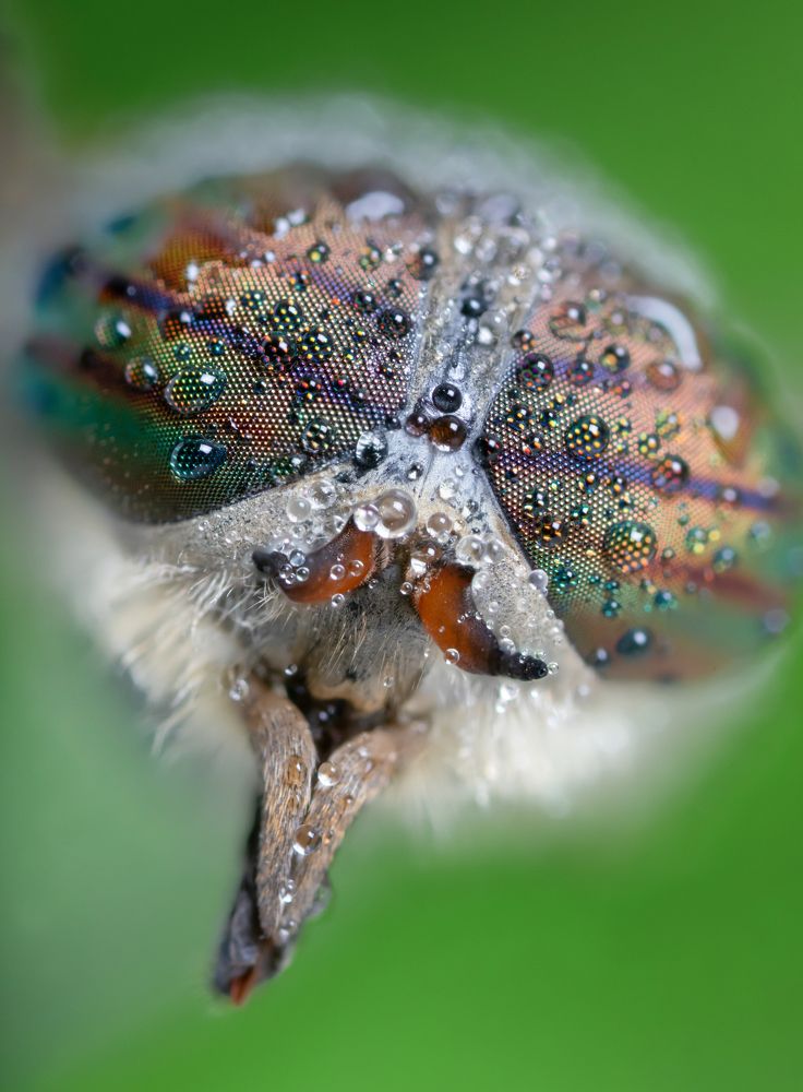 Photograph by Сергей Романченко