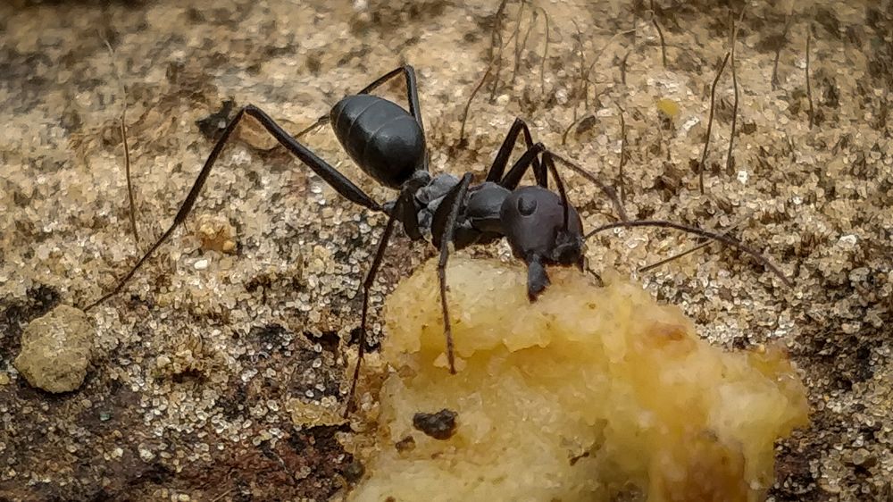 Photograph by Сергей Григорьев