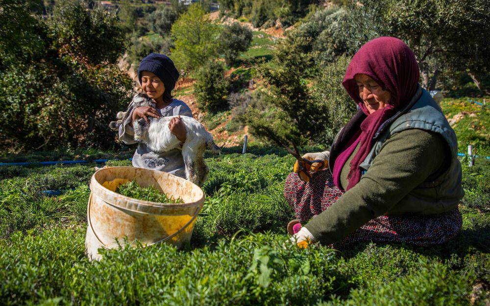 Photograph by Serap Öncebe