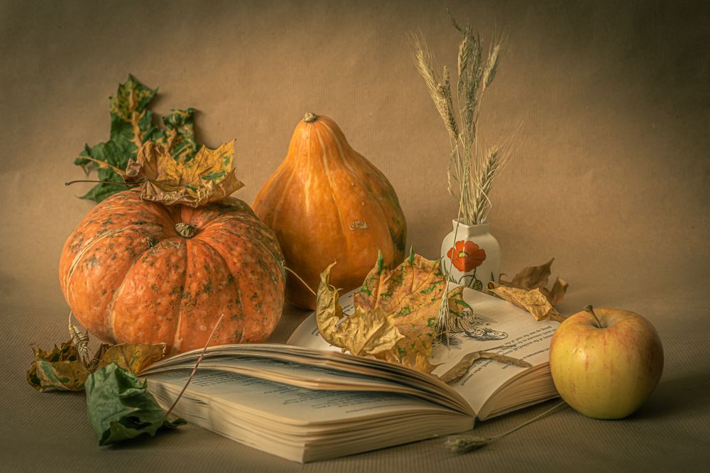 Autumn still life with pumpkins and a book
