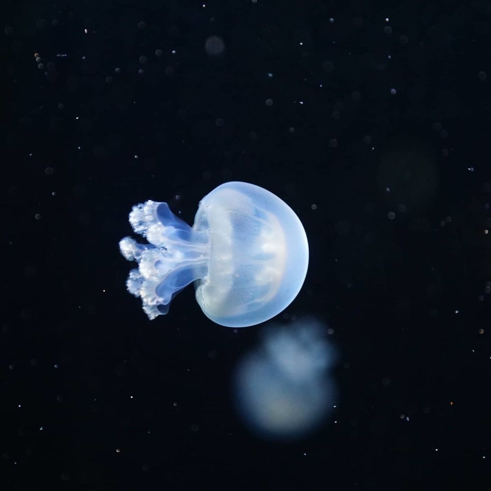 Photograph by Сергей Кузнецов