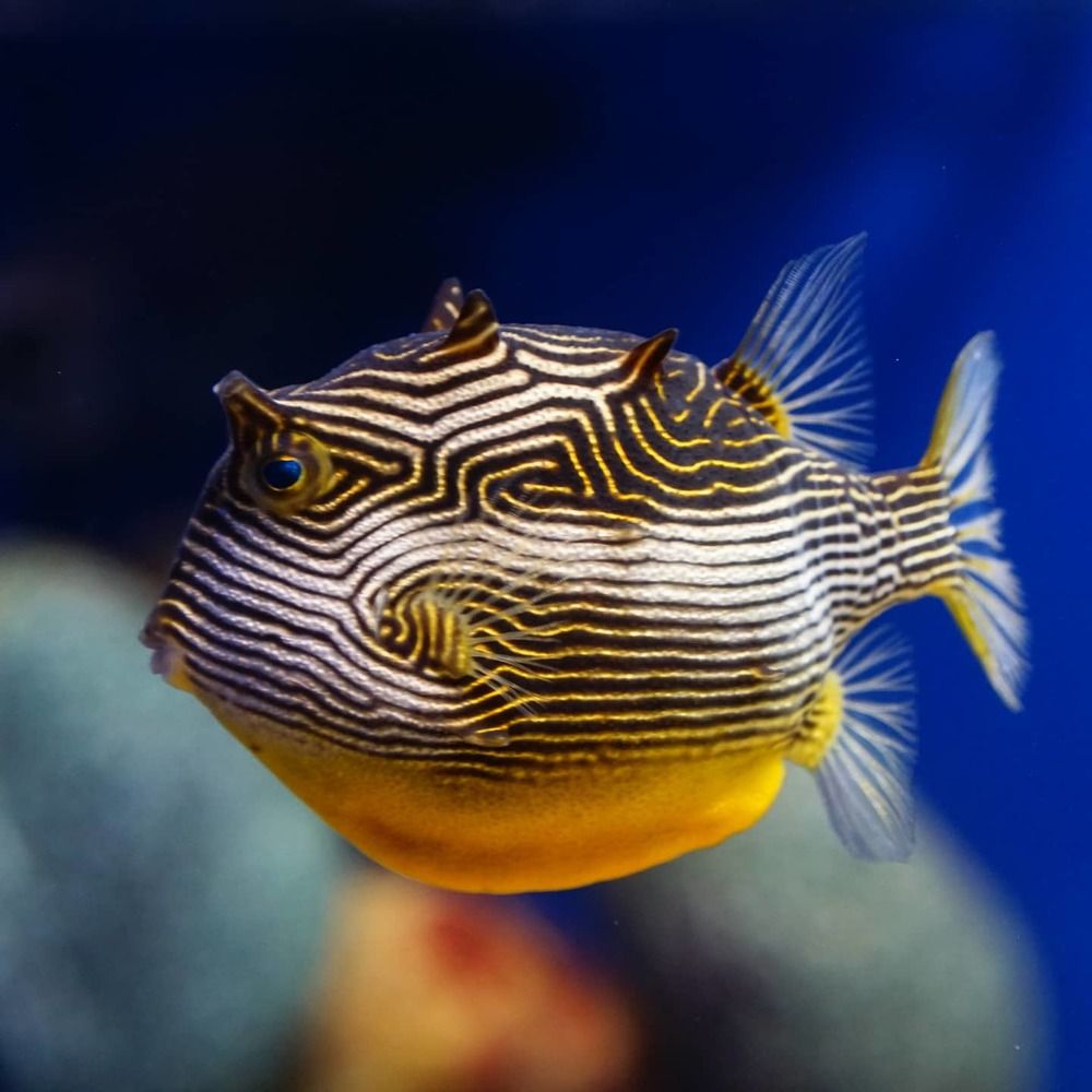 Photograph by Сергей Кузнецов