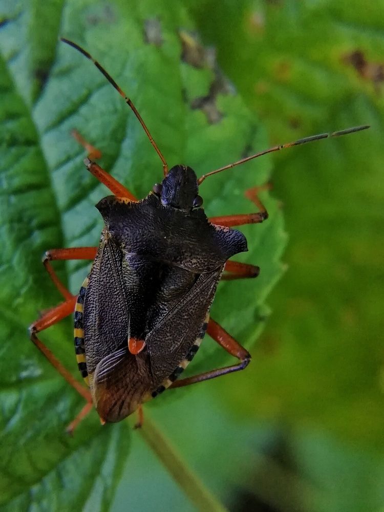 Photograph by Екатерина Чижевская