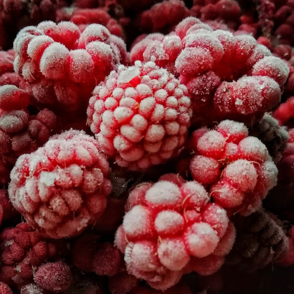 Photograph by Екатерина Чижевская