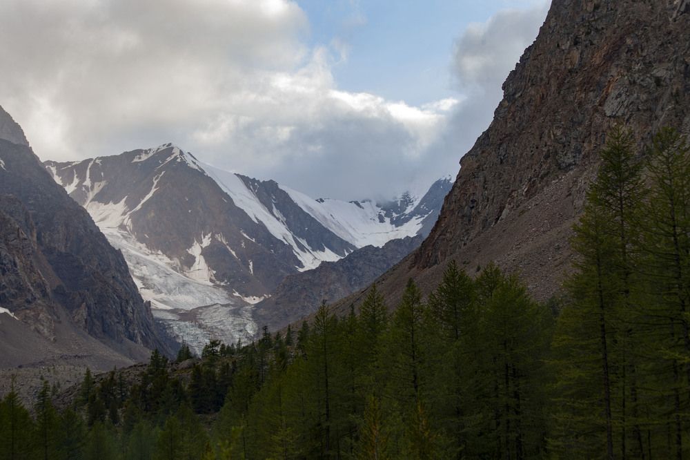 Вечные льды