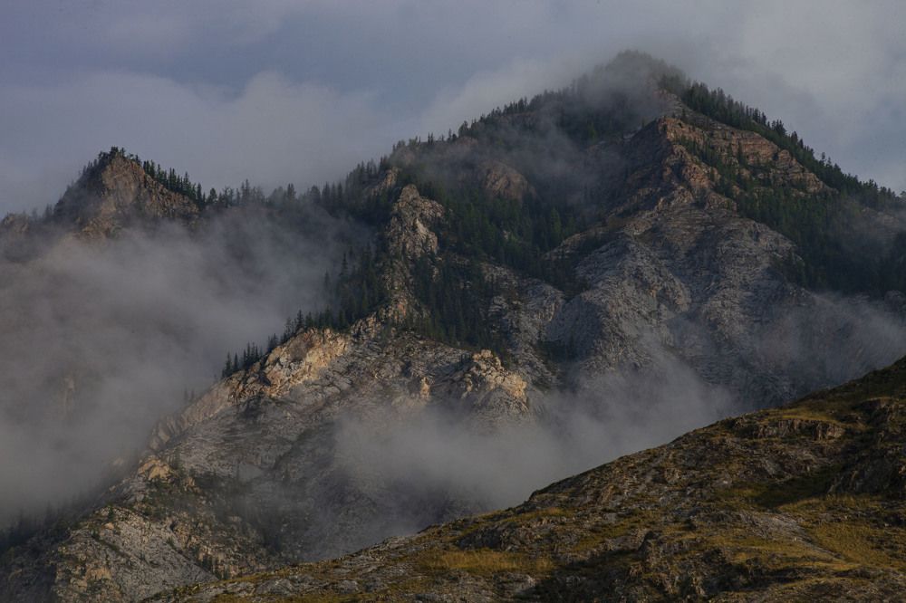 Алтайское утро