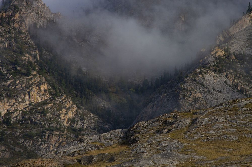 Сонная лощина