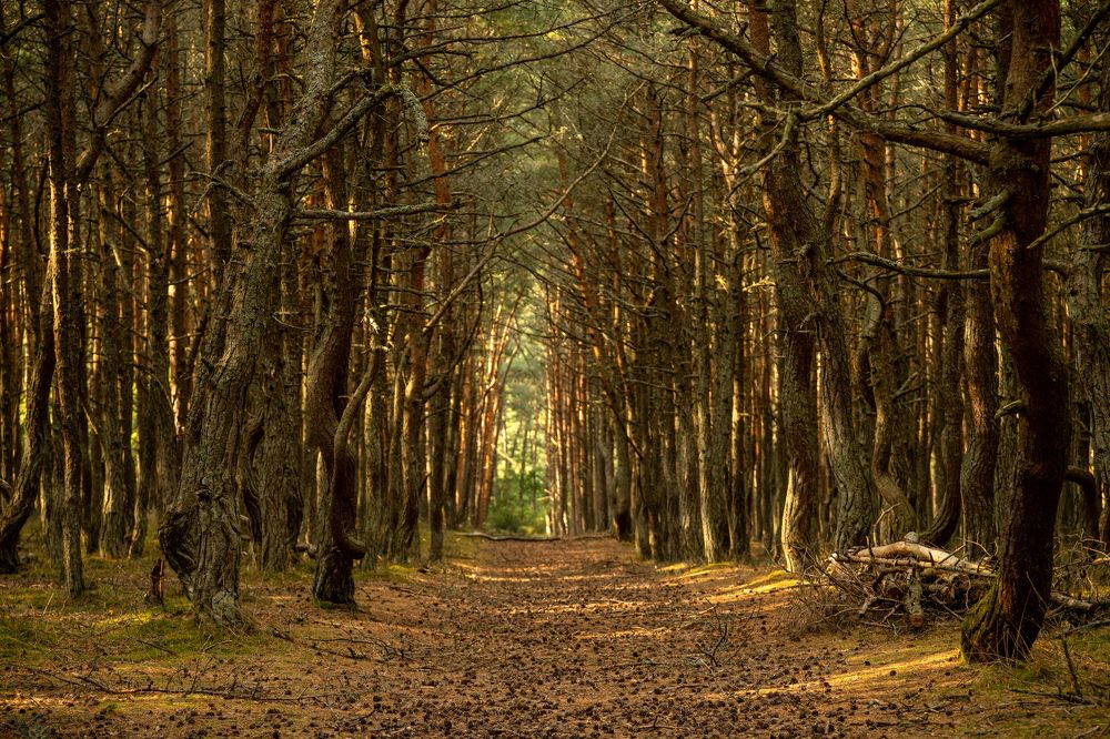 Photograph by Илья Юфа