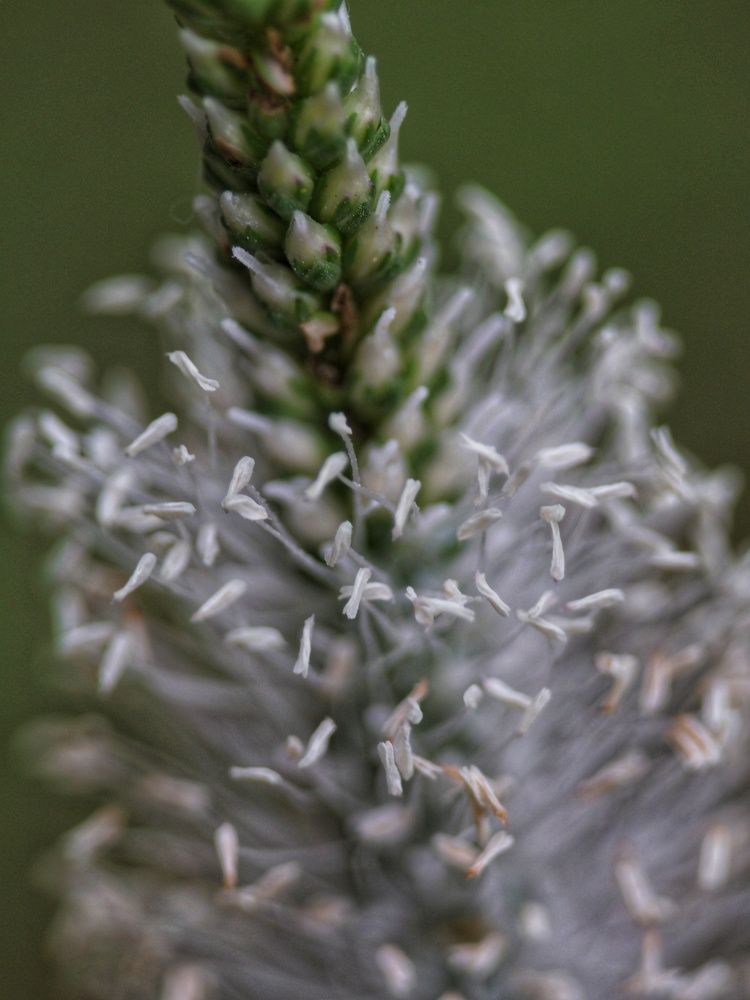 Фотография автора Иван Вдовин