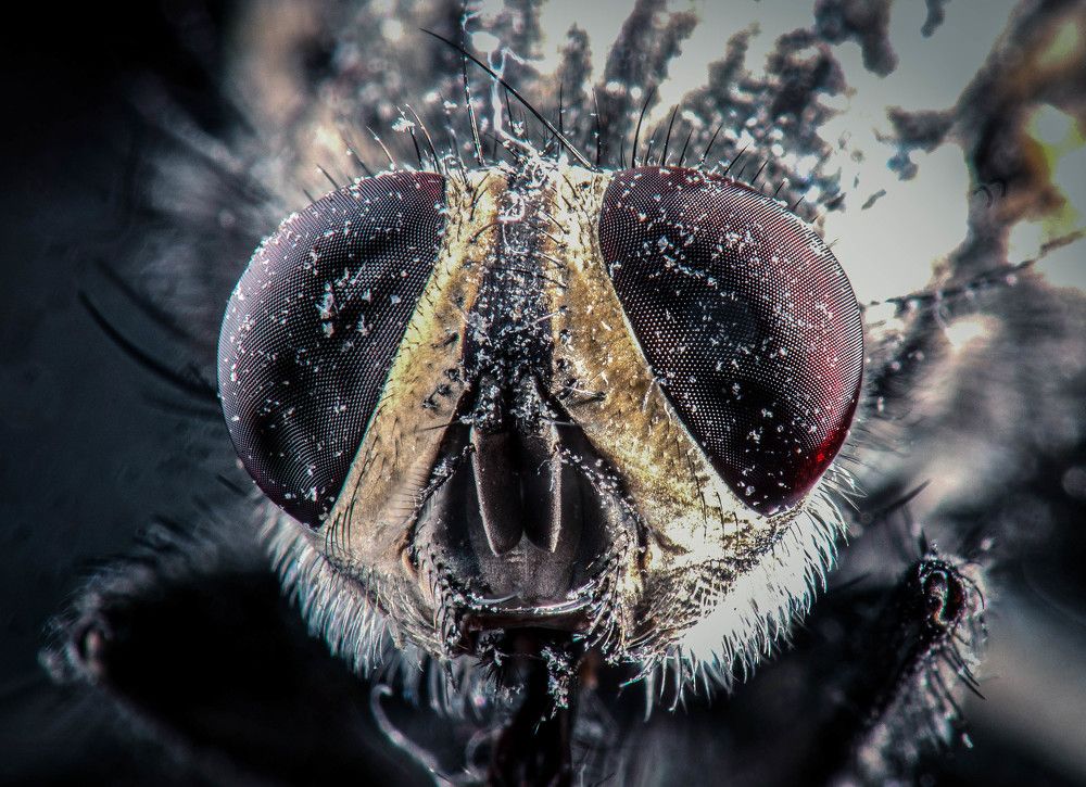 Photograph by Андрей Дмитров