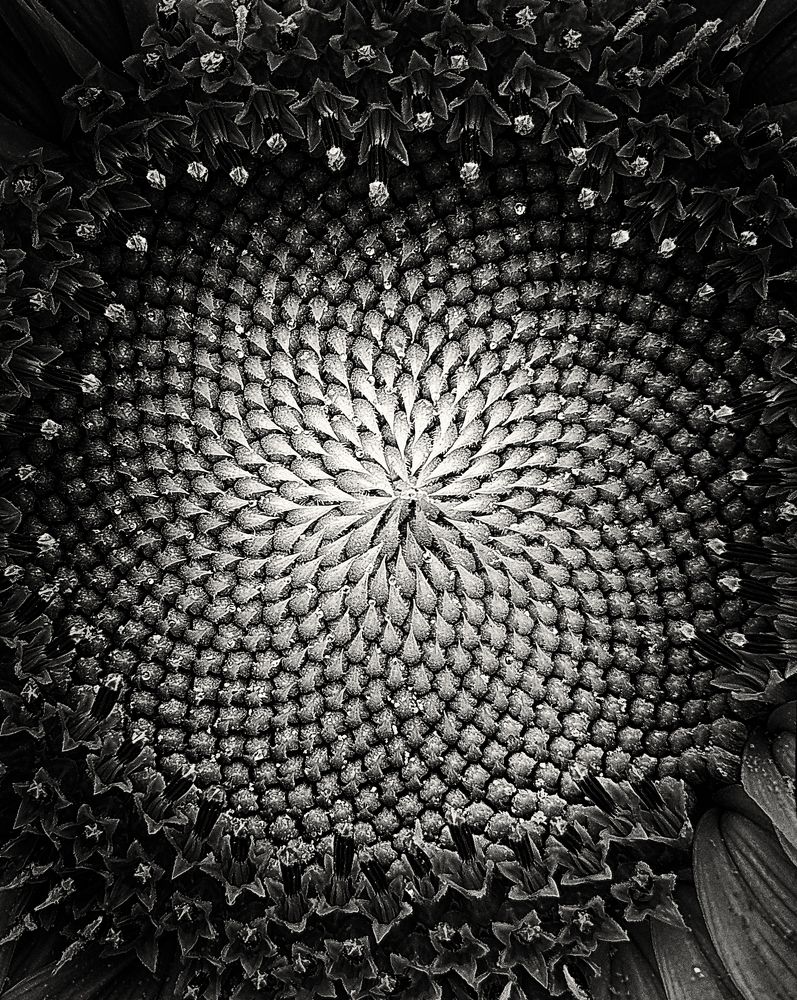 Photograph by Андрей Вахрушев