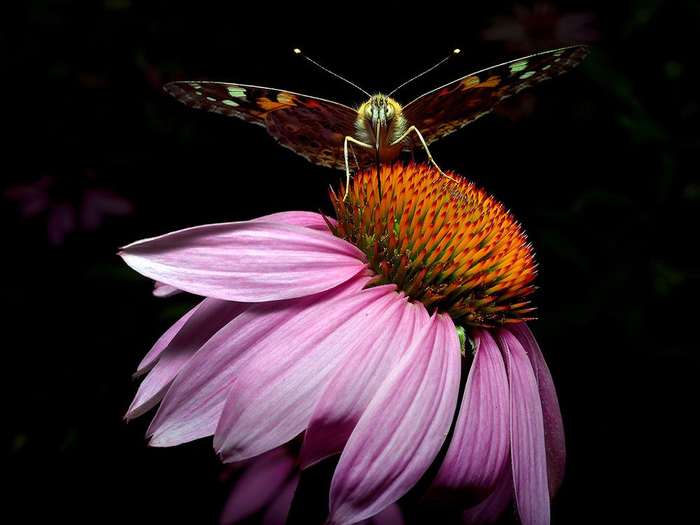 Photograph by Bekir Yesiltas