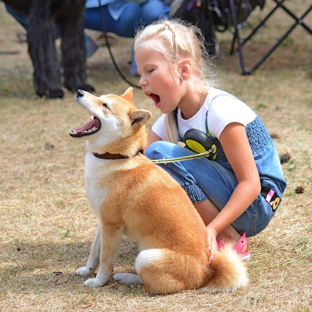 Photograph by Алексей Козлов