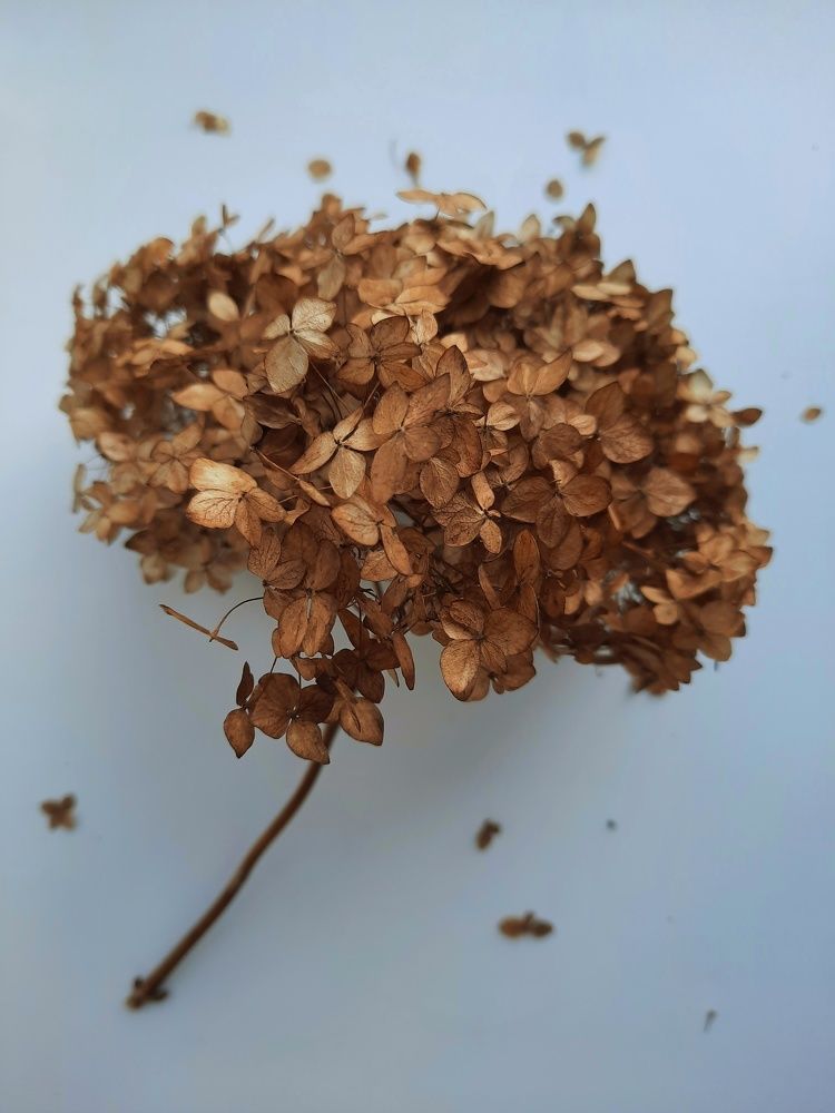 Photograph by Ирина Бочарова