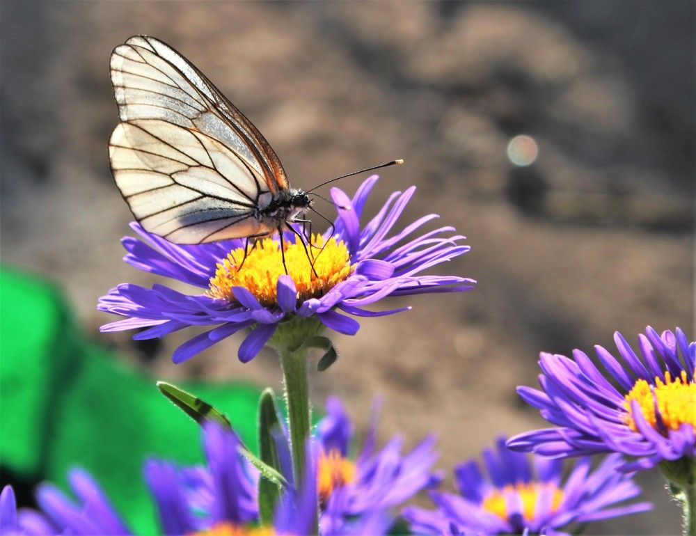 Photograph by Марина