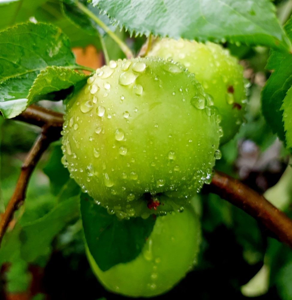 Photograph by Марина