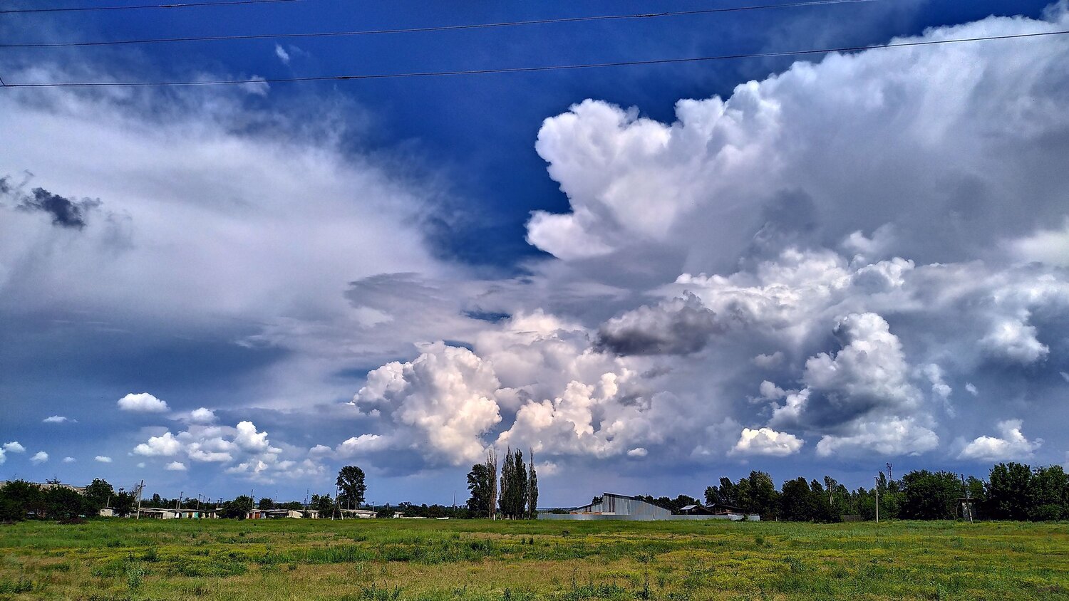 Photo #6398530