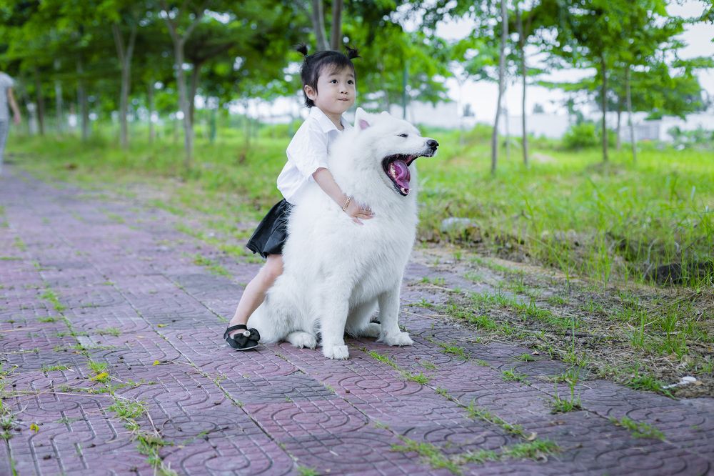 Photograph by Minh Châu