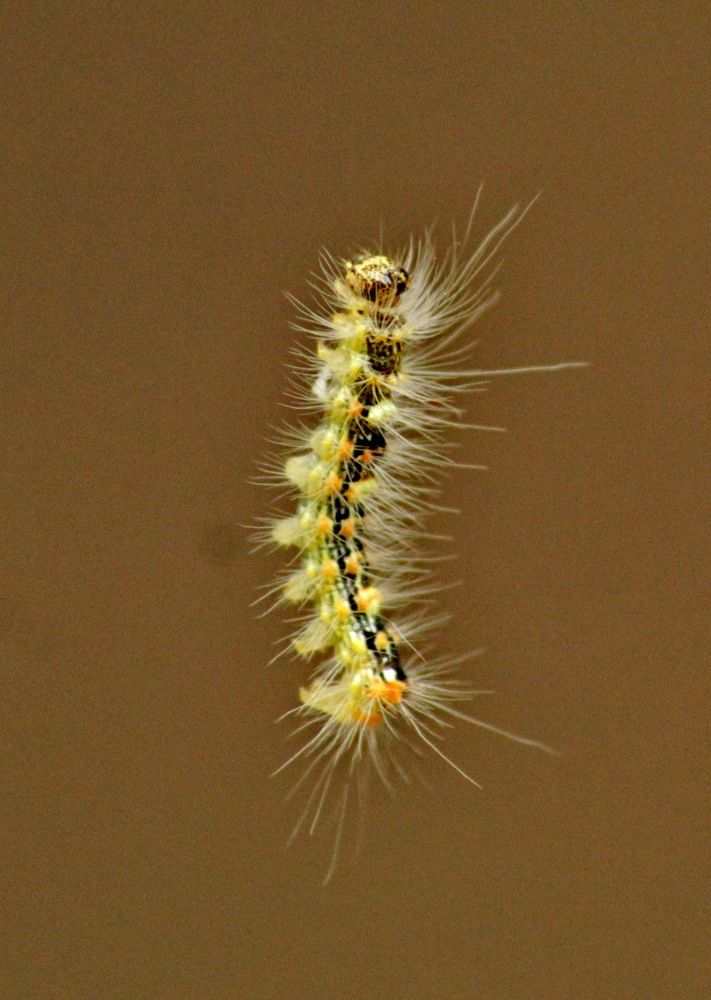 Photograph by Николай Николаевич Леухин