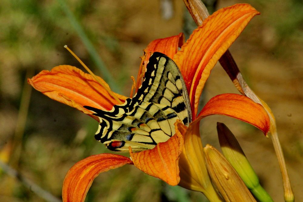 Photograph by Николай Николаевич Леухин