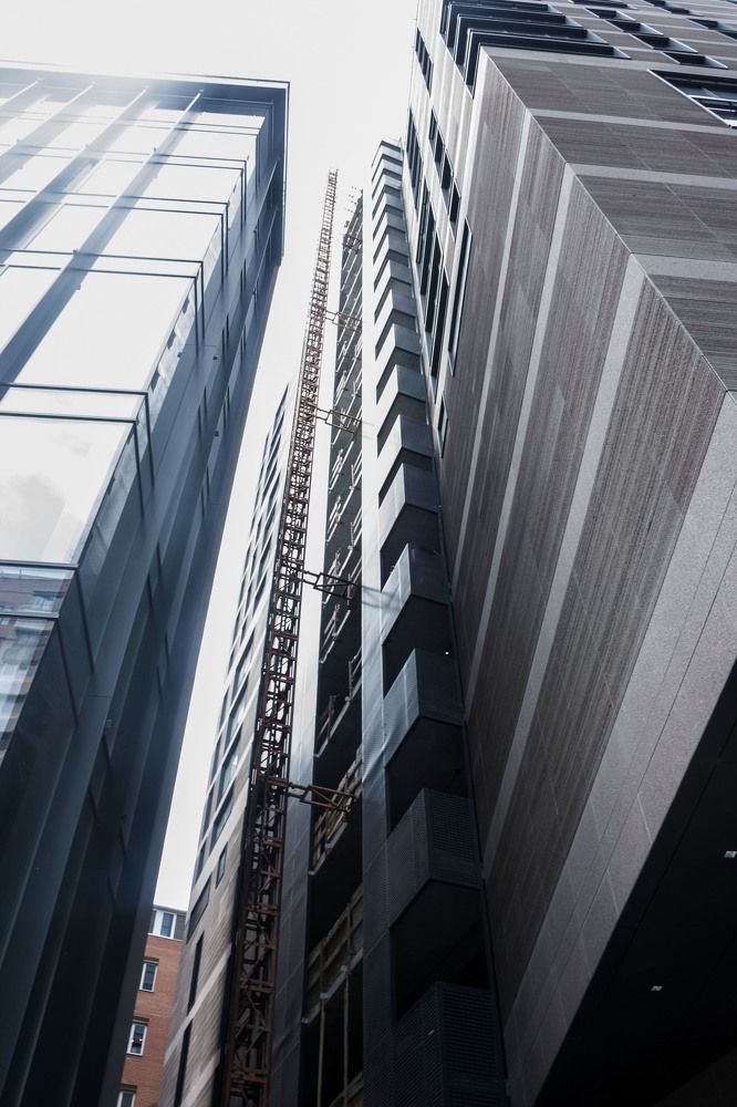 Photograph by Нелли Золотая