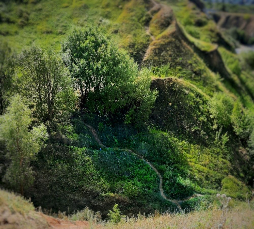 Photograph by Даша Камардина