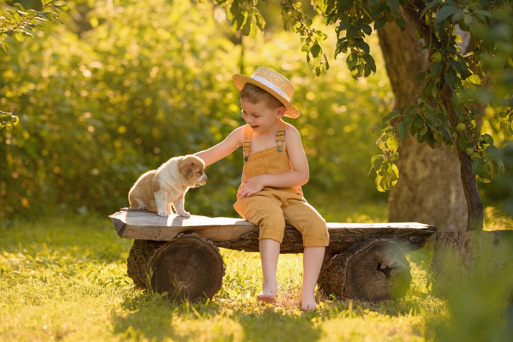 Фотография автора Алена Наливкина