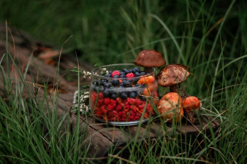 Северное ассорти