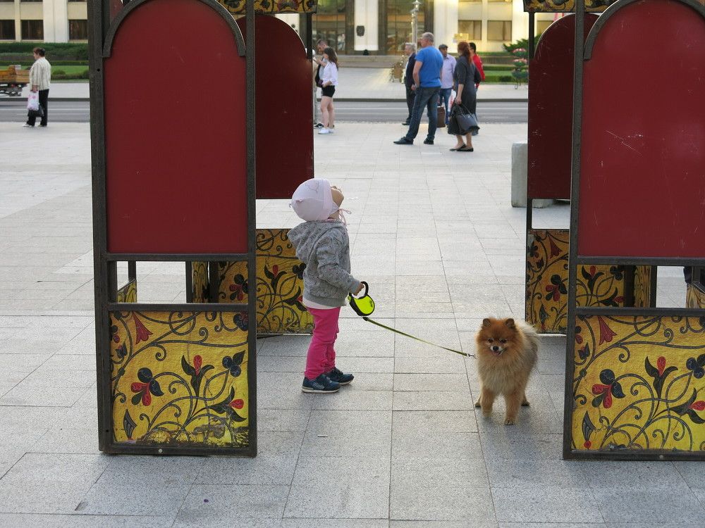 Photograph by ЭЛЬМИРА  ИСМАИЛОВА