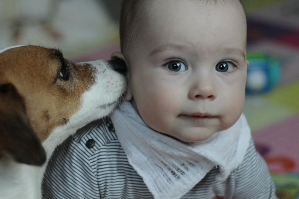 Photograph by Филатова Елена