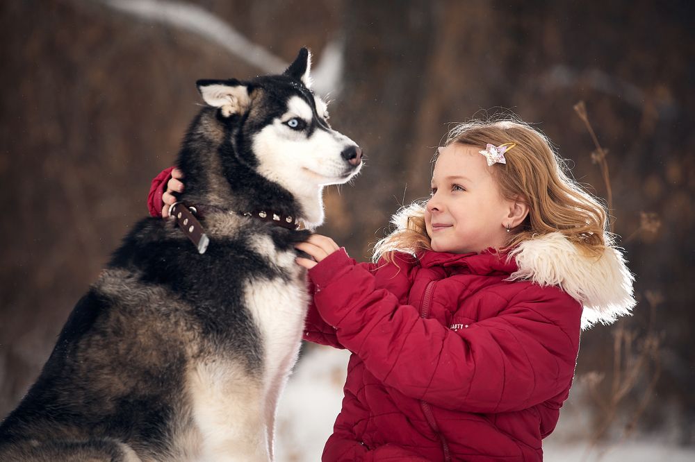 Photograph by Алексей Курочкин