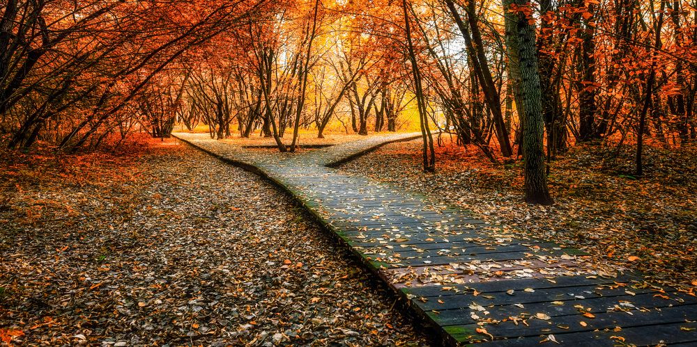 Photograph by Владимир Vladimir